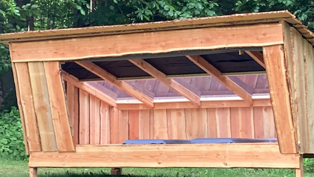 Shelter with a glass roof