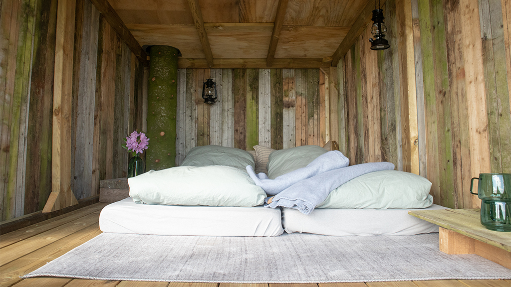 Tree-top shelter with mattresses, duvets, and pillows