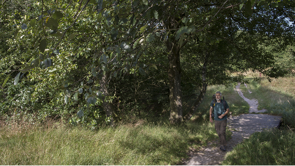 A man walking on the Hærvej in Tinnet Krat