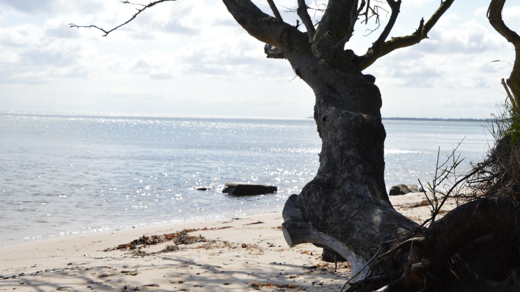 Kysing Beach near NFJ Naturist - Familiecamping