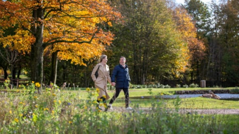 Par går tur i Folkeparken i Brædstrup på en efterårsdag