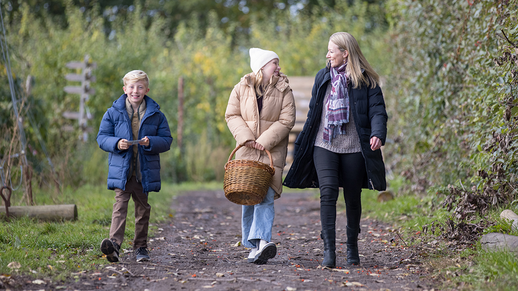 A mother and her daughter and son are picking fruit at Karensminde Frugtplantage
