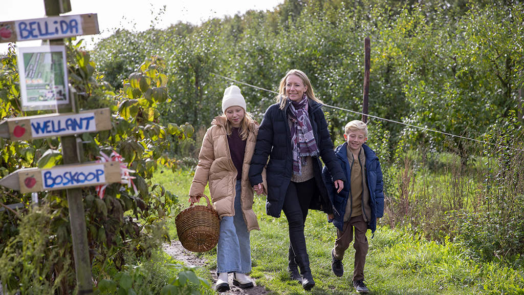 A family with an adult woman, a teenage girl, and a teenage boy are out picking apples in the orchard at Karensminde