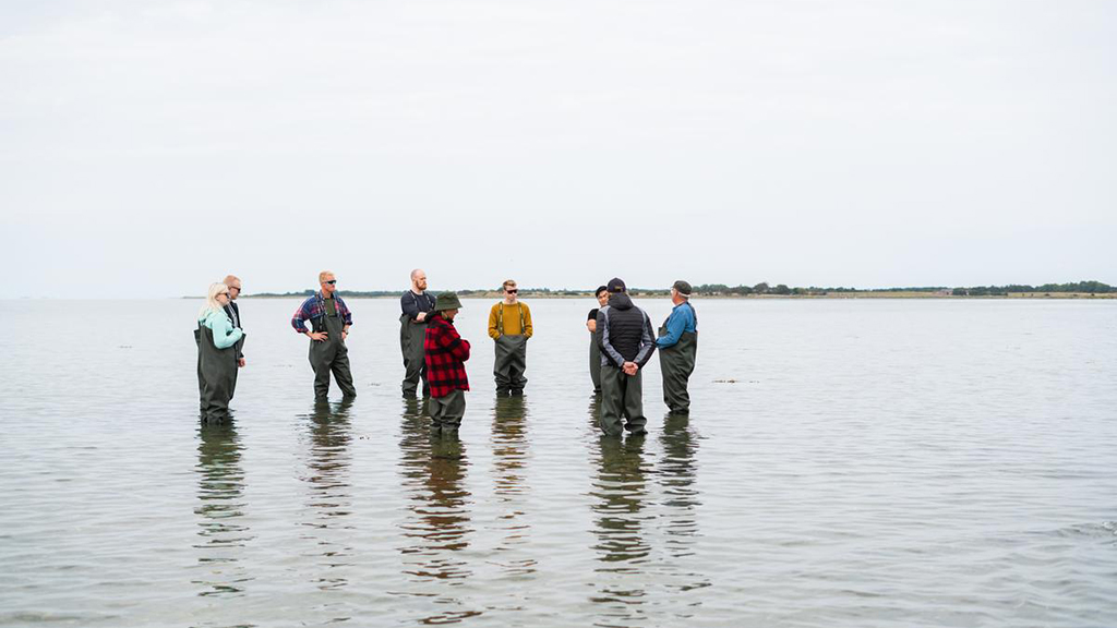 Group on a seaweed safari