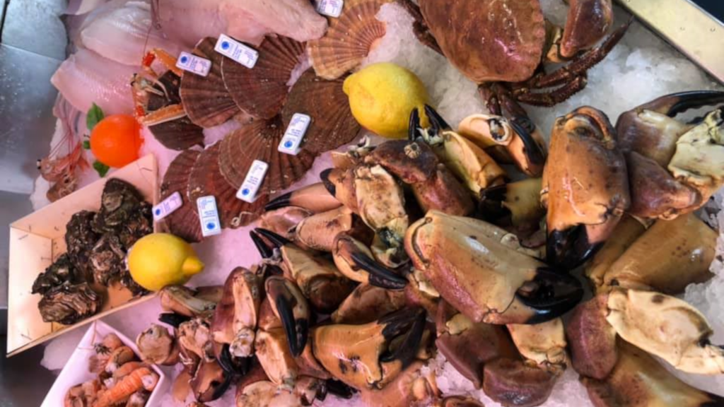 Shellfish and fresh fish at the fish shop Juelsminde Fisk