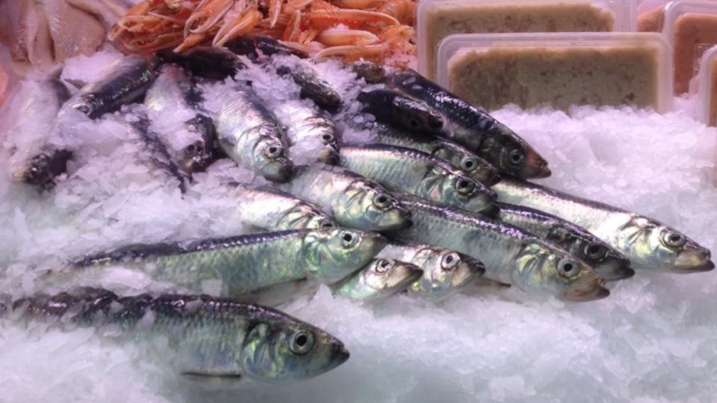 Fish in the refrigerated display at Juelsminde Fisk