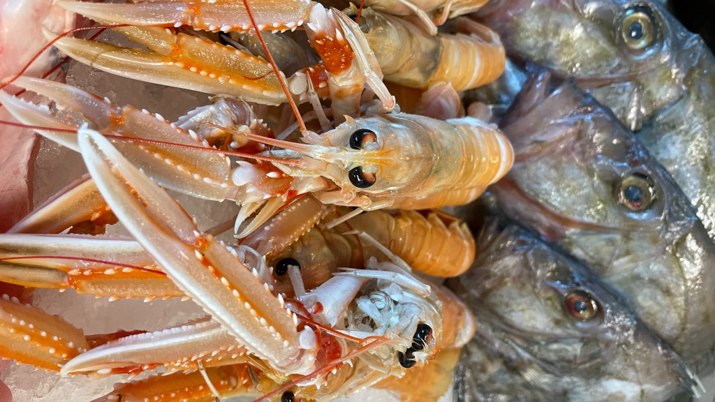 Shrimp in the display case at Juelsminde Fisk