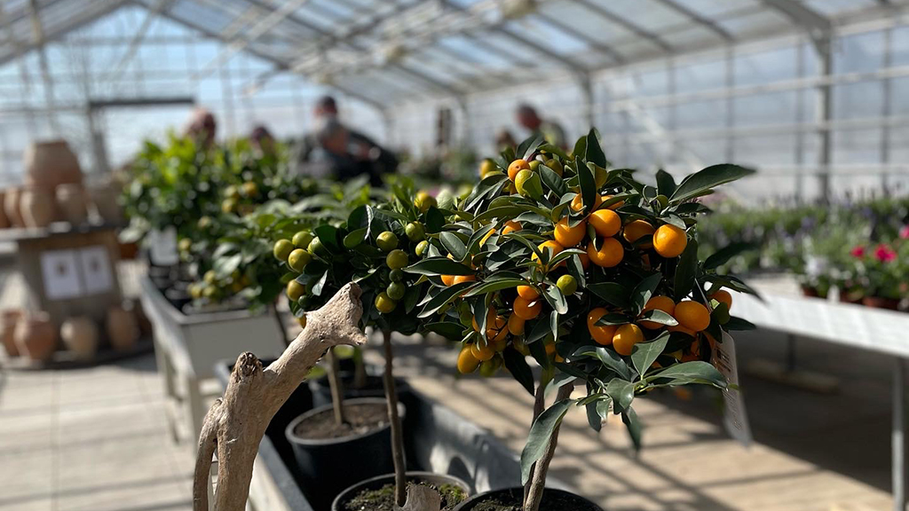 Det Kreative Gartneri