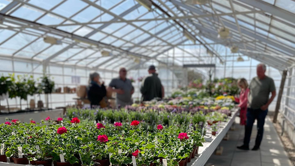 Customers looking at flowers in the greenhouse at Det Kreative Gartneri
