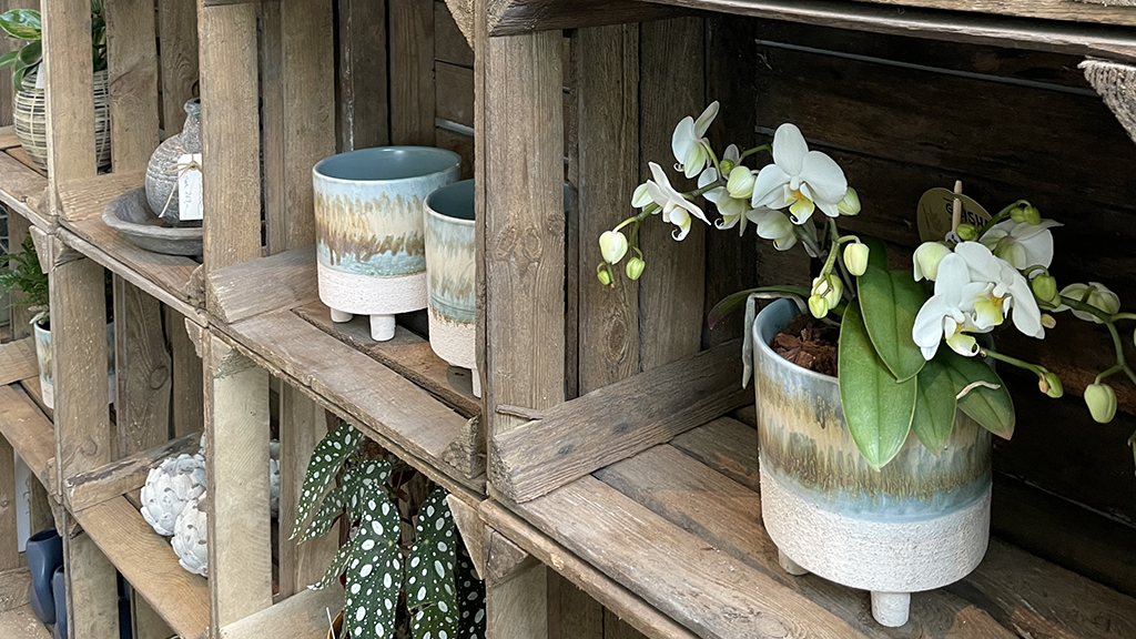 Plants and pots in wooden boxes at Det Kreative Gartneri