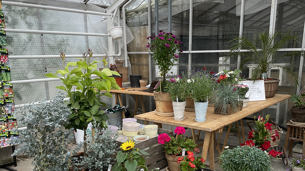 Flowers in pots at Det Kreative Gartneri