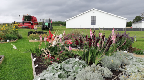 Blomsterbede og landbrugsmaskiner hos Tinnetgaard