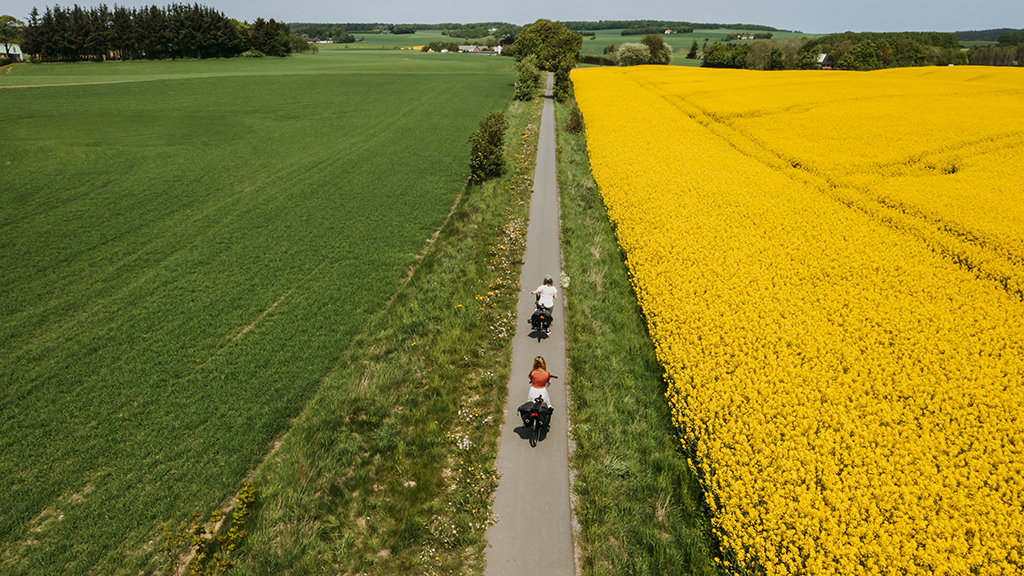 Drone photo of two women cycling on a canola field along the Nature Trail Horsens-Silkeborg