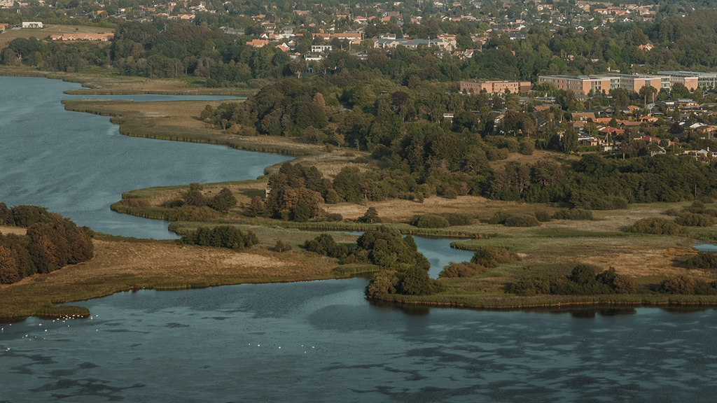 Drone image of the natural area Nørrestrand with the town of Horsens in the background