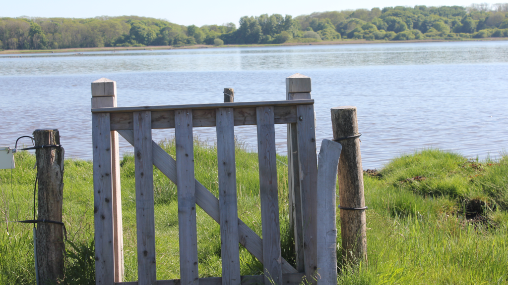 A gate leading down to Brigsted Beach by Horsens Fjord