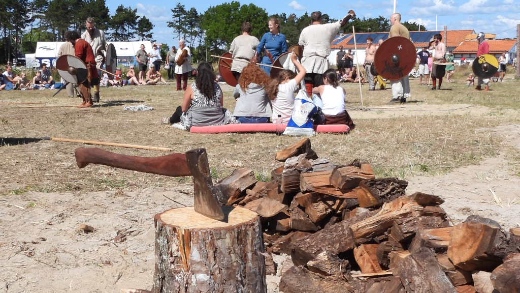 Axe for chopping firewood at the Tunø Viking Camp.