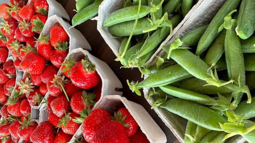 Trays with fresh strawberries and peas at Gaardens Grønt