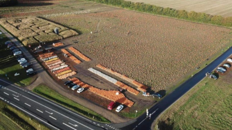 Dronefoto af grækarmarken ved Gaardens Grønt nær Brædstrup