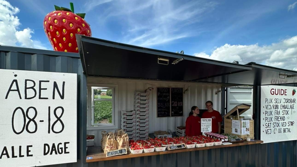 Roadside stand selling strawberries at Gaardens Grønt