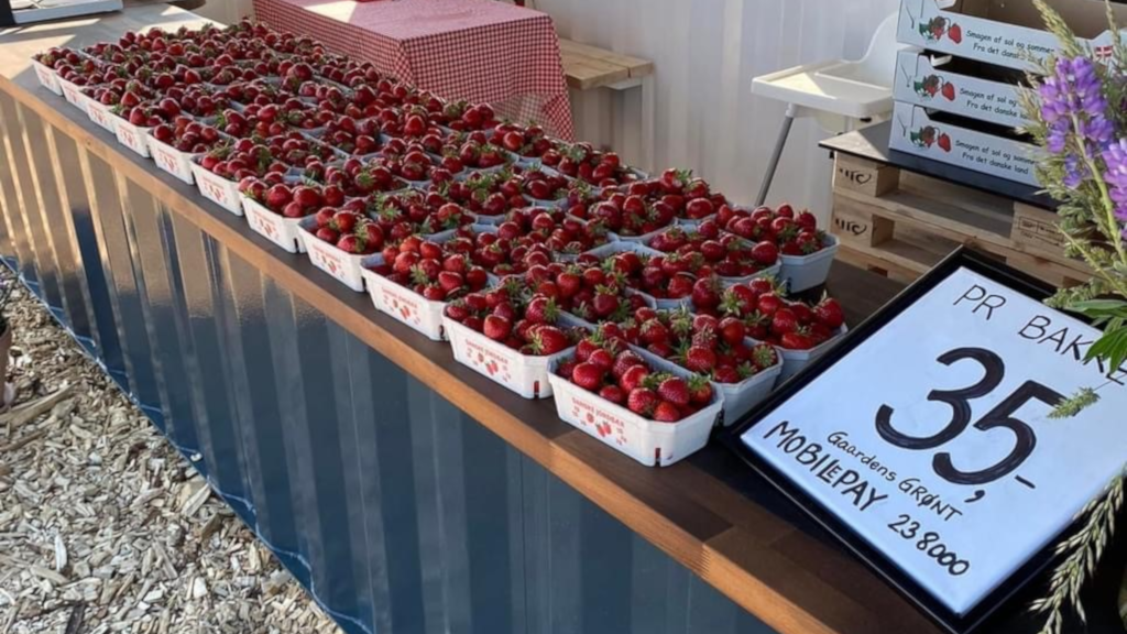 Trays of strawberries in the roadside stand at Gaardens Grønt