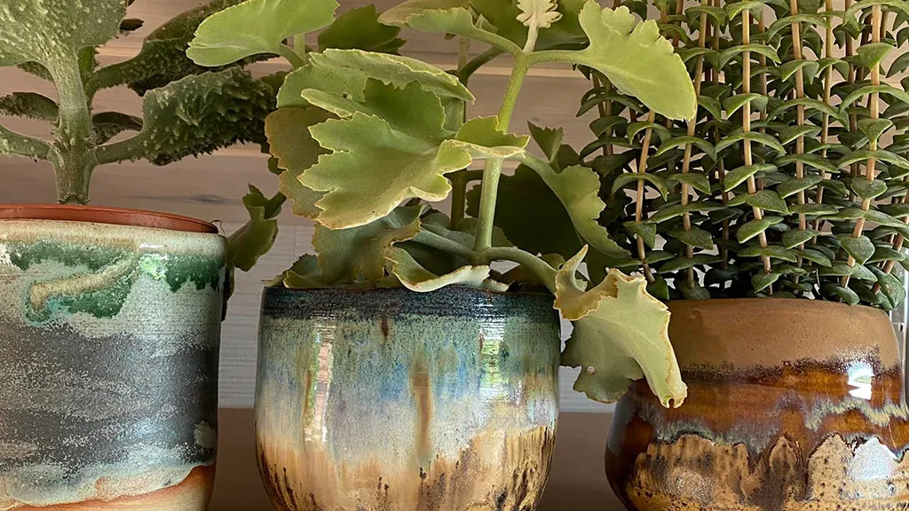 Potted plants planted in pots made by LM Unika