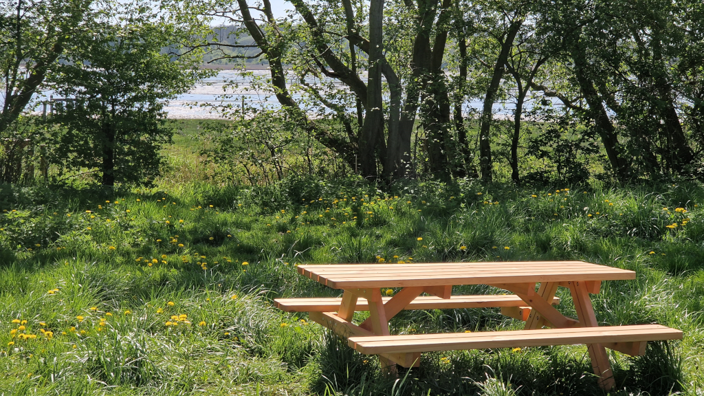 Table and bench sets at the nature campsite in Brigsted with a view of Brigsted Beach
