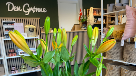 Gule tulipaner, bolsjer og kurve i butikken Den Grønne i Juelsminde