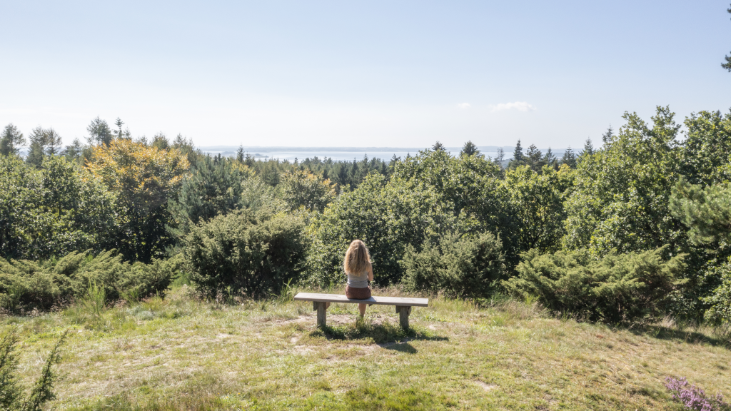 Woman enjoying the view over Horsens Fjord from a bench in Sondrup Bakker