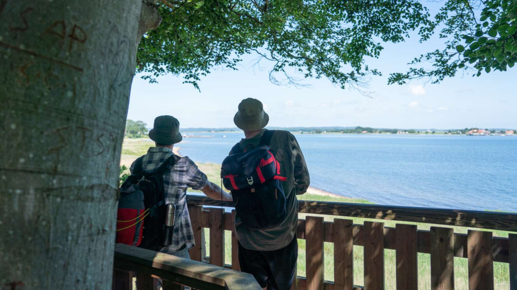 Two men standing in the lookout tower in Tønballe Forest, enjoying the view over Hjarnø Sund