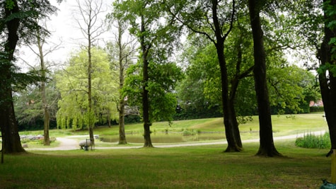 Park og legeplads i Brædstrup