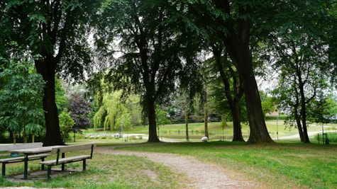 Park og legeplads i Brædstrup