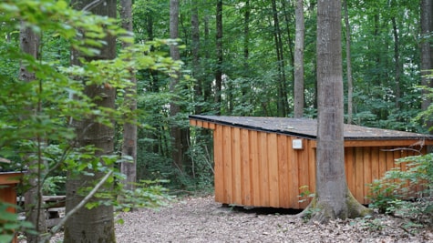 Shelterplads i Brædstrup