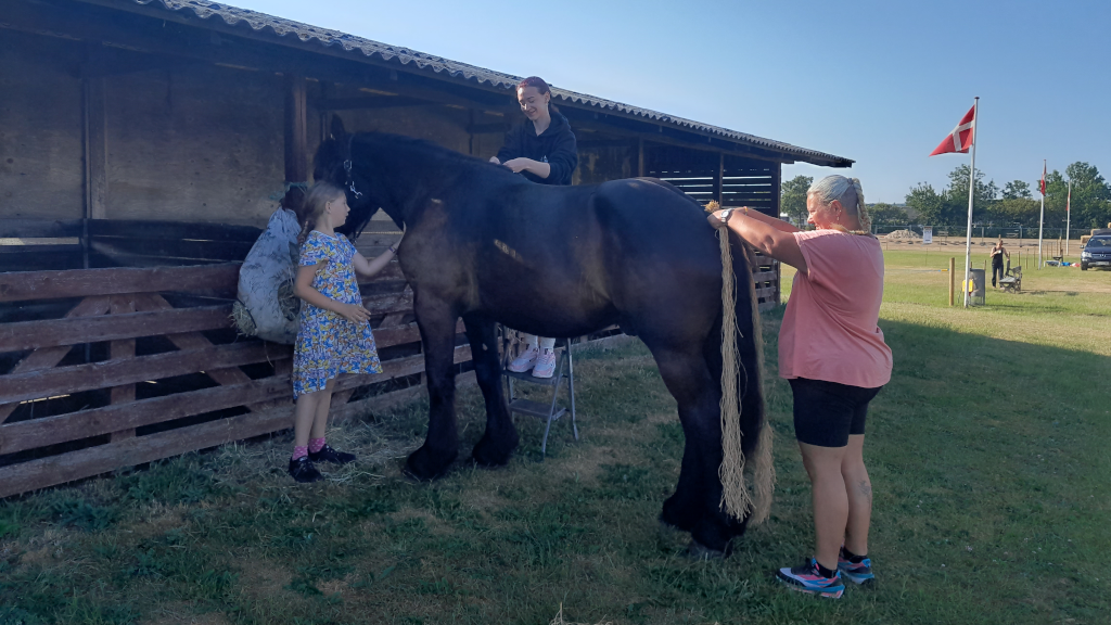 A woman and two girls petting a horse at the agricultural fair in Horsens