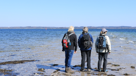 Tre kvinder kigger ud over havet ved Borre Knob