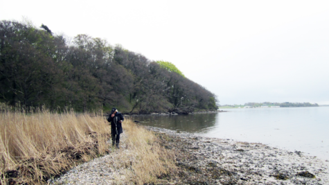 En vandrer går på Sondrup Strand