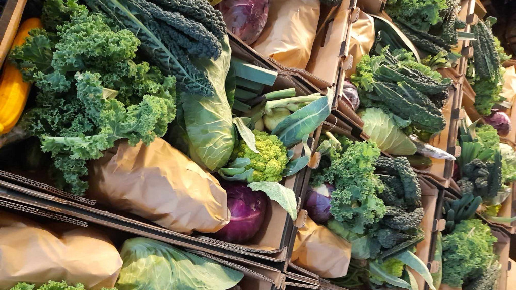 Vegetable boxes with cabbage and mixed greens from Hjarnøkassen