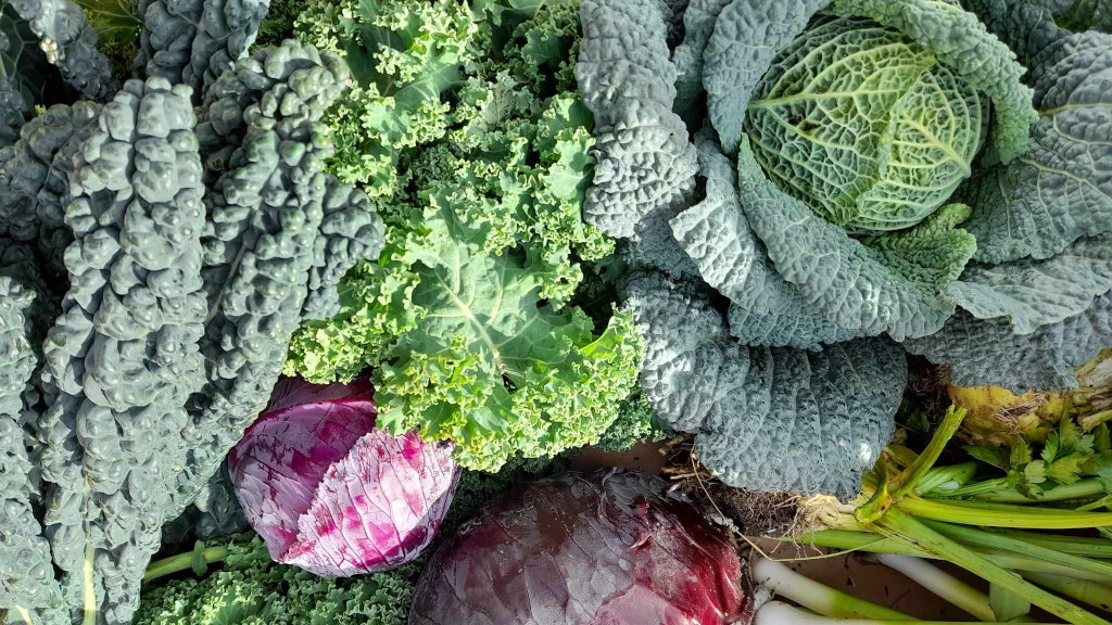 A pile of various types of cabbage and spring onions