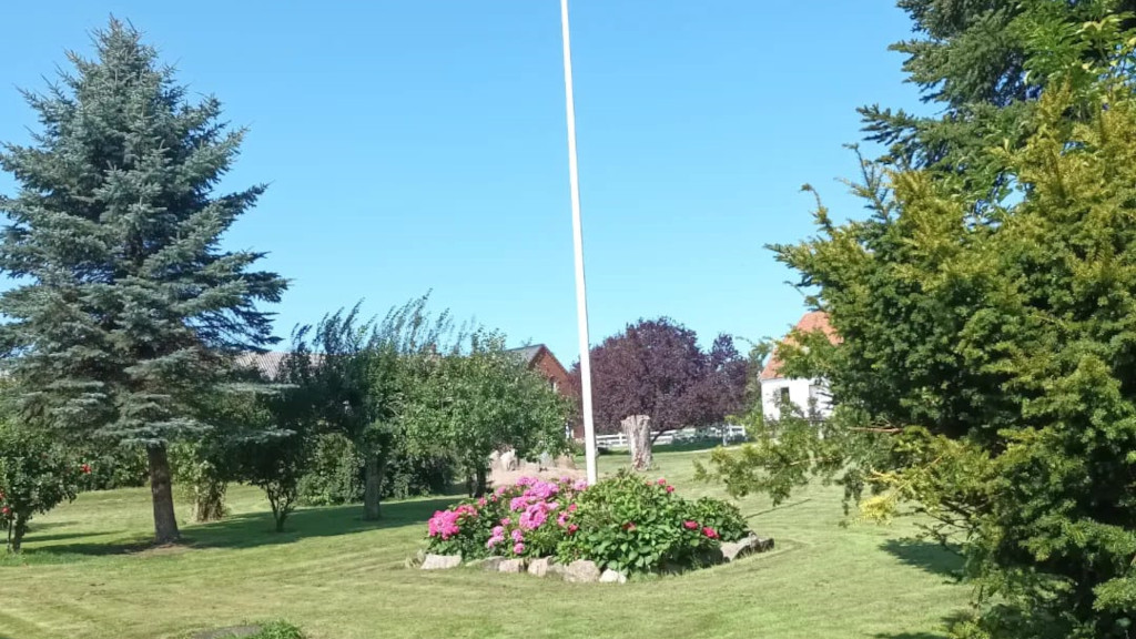 A large garden with a flagpole at Mitlandidyl