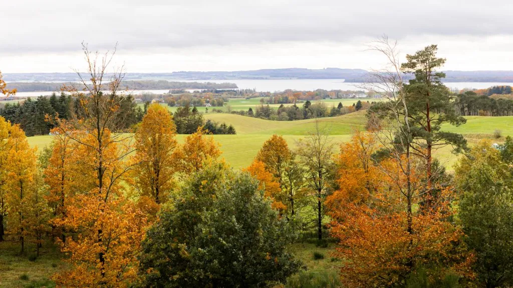 Udsigt over Horsens Fjord fra Trustrup Udsigtshøje på en efterårsdag
