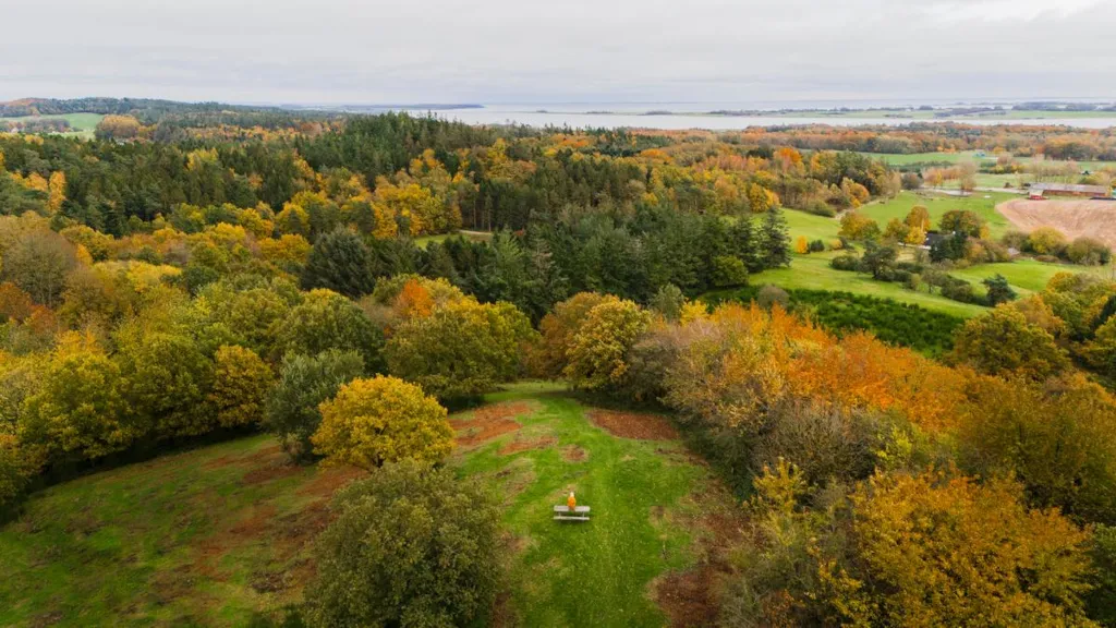 Dronefoto af Trustrup Udsigtshøje og udsigten over Horsens Fjord