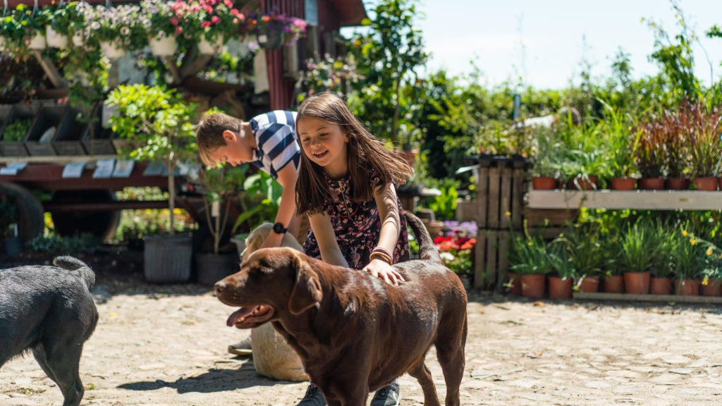 A boy and a girl play with dogs at Fru Møllers Mølleri