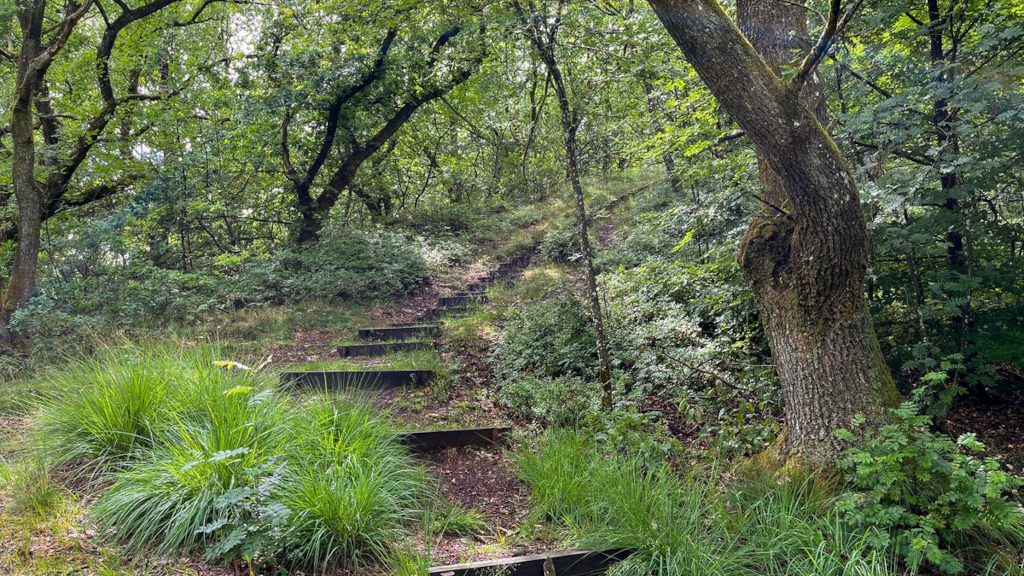 Stairs lead to the top of a hill in Tinnet Krat