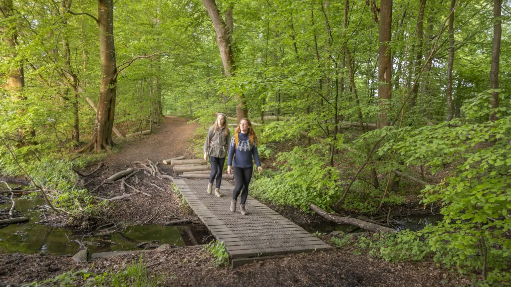 Two friends crossing a stream on a bridge in Boller Forest