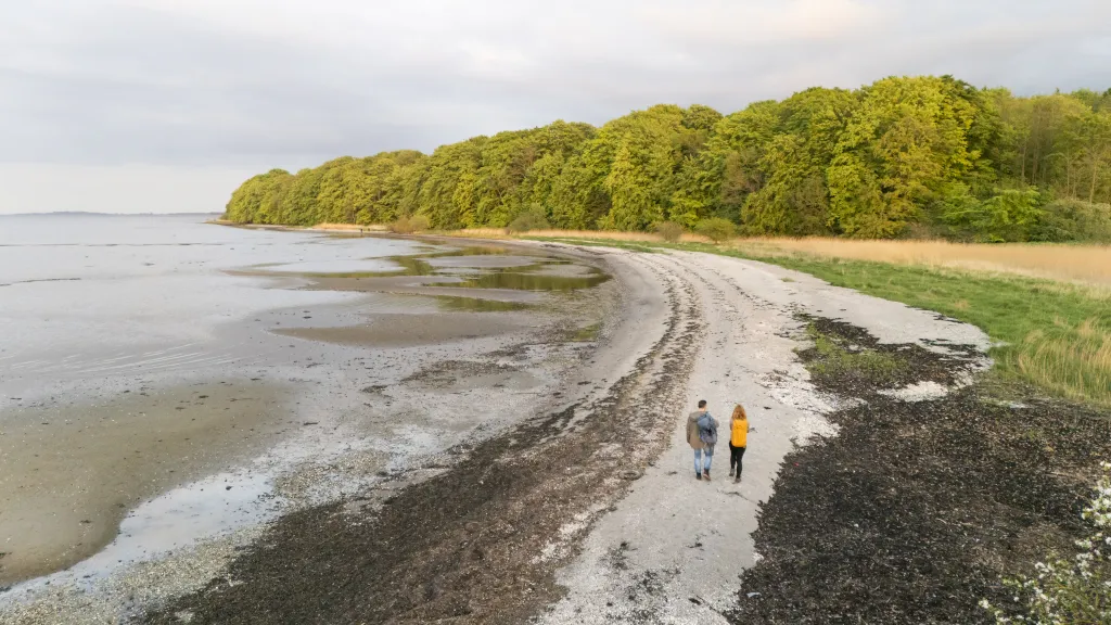 A couple hiking on the beach near Boller Forest