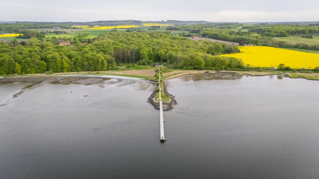 Drone photo of Boller Forest and the bathing bridge