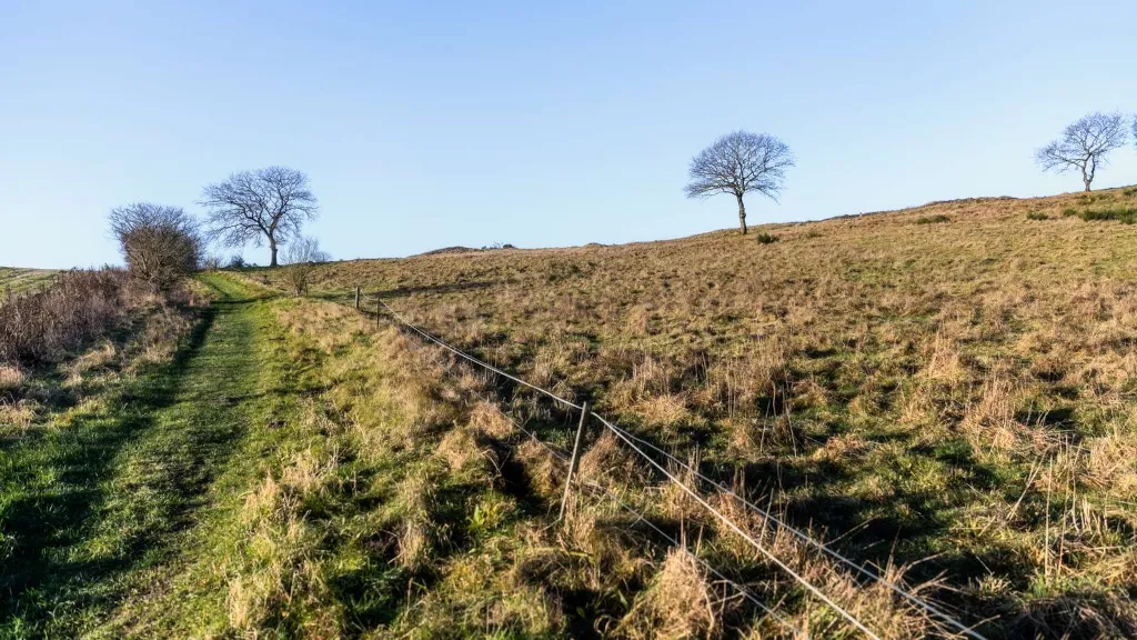 A footpath on the grass through Slaggård Banke