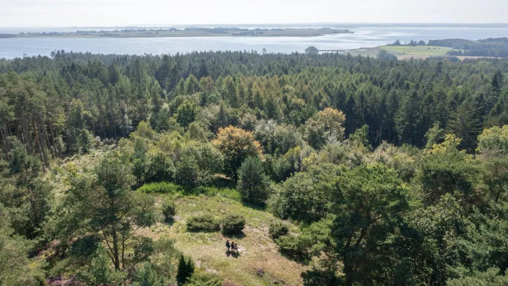 Drone photo of Sondrup Hills and the view over Horsens Fjord