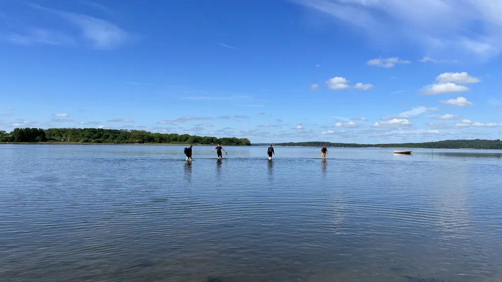 A group wades through water to Vorsø at the ford