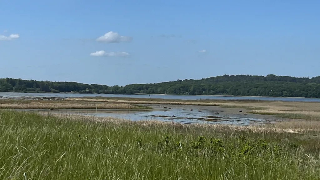 View from Vorsø towards Sondrup Hills