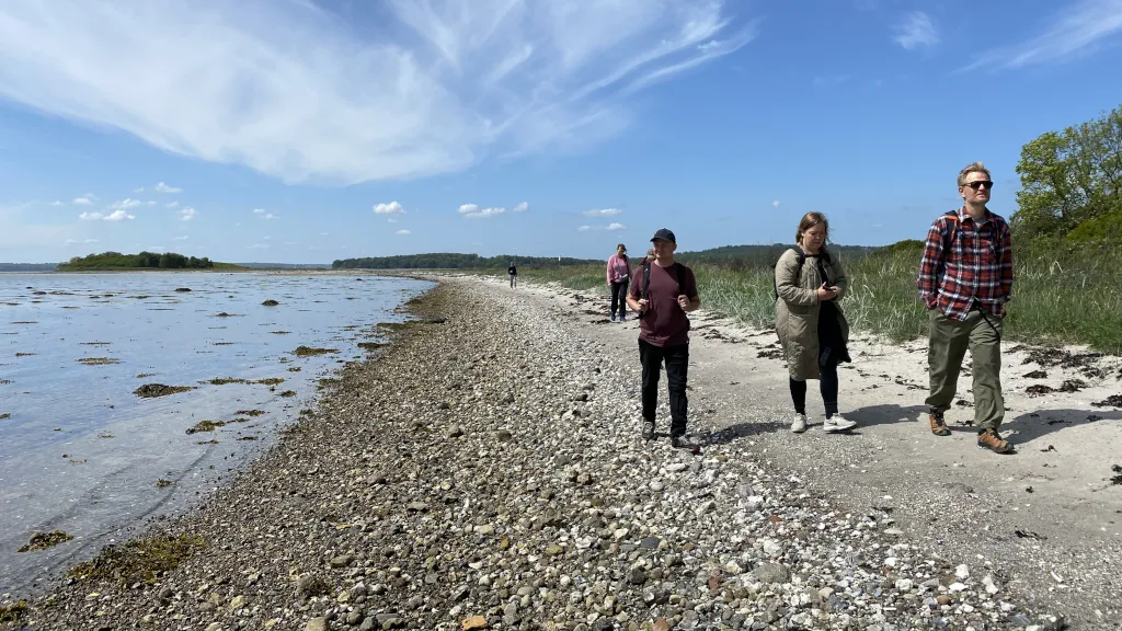 A group of people walk on the beach on Vorsø